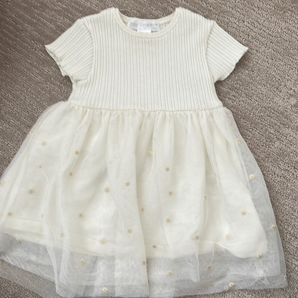Zara Dress.